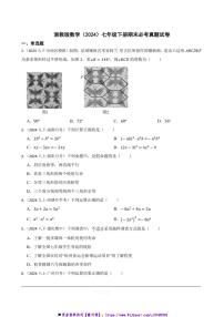 浙教版数学(2024)七年级下册期末必考真题试卷(含答案)