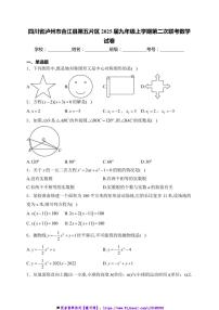 2024～2025学年四川省泸州市合江县第五片区九年级上(二)联考(月考)数学试卷(含详解)