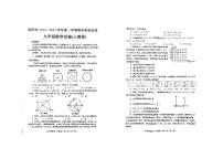 河南省洛阳市2024—2025学年上学期九年级期末考试数学试卷