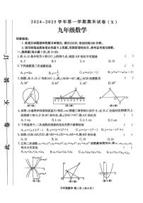 河南省周口市郸城县名校联考2024-2025学年九年级上学期1月期末数学试题