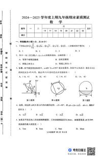 河南省驻马店市上蔡县2024-2025学年九年级上学期1月期末数学试题