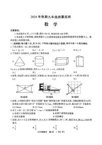 河南省驻马店市驿城区驻马店市部分初中期末联考2024-2025学年九年级上学期1月期末数学试题