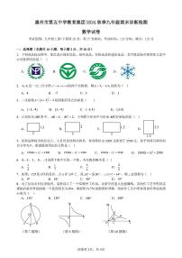 广东省惠州市惠阳区第五中学2024-2025学年九年级上学期1月期末数学试题