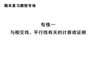 初中数学新人教版七年级下册期末专练一 与相交线、平行线有关的计算或证明作业课件2025春