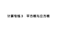 初中数学新人教版七年级下册期末计算专练3 平方根与立方根作业课件2025春