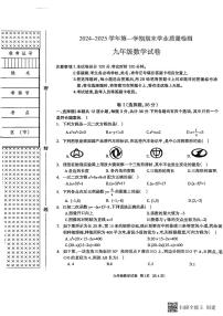 河北省廊坊市安次区2024-2025学年九年级上学期数学期末试卷