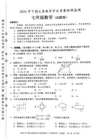 湖南省永州市蓝山县2024-2025学年七年级上学期1月期末数学试题