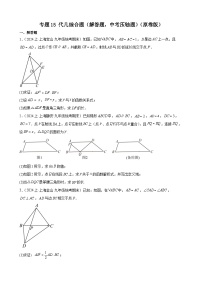 (上海专用)中考数学二轮复习考点分类训练专题15 代几综合题（解答题25题，中考压轴题）（2份，原卷版+解析版）