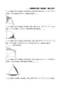 (重庆专用)中考数学二轮复习重难点分类训练专题04 阴影部分面积（填空题）(2份，原卷版+解析版）