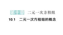 初中数学人教版（2024）七年级下册（2024）10.1 二元一次方程组的概念作业ppt课件