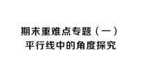 初中数学新人教版七年级下册期末重难点专题（一）平行线中的角度探究作业课件2025春