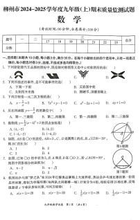 广西壮族自治区柳州市2024-2025学年九年级上学期1月期末数学试题