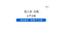 人教版（2024）七年级下册（2024）8.1 平方根教学ppt课件