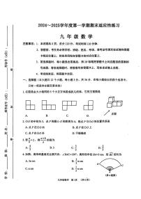 河北省石家庄市桥西区2024-2025年九年级上学期期末数学试题
