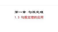 北师大版（2024）八年级上册第一章 勾股定理3 勾股定理的应用备课ppt课件