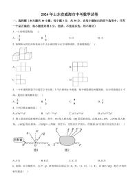 2024年山东省威海市中考数学模拟试卷（原卷版）