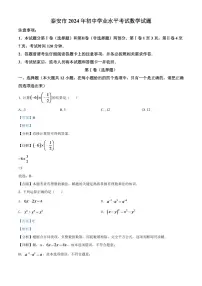 2024年山东省泰安市中考数学模拟试卷 （解析版）