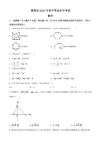 2024年青海省中考数学模拟试卷（原卷版）