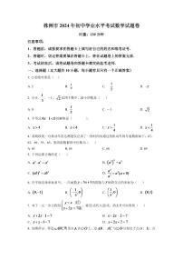 2024年湖南省株洲市中考数学模拟试卷（原卷版）