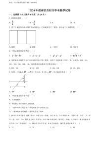 2024年湖南省岳阳市中考数学模拟试卷（原卷版）