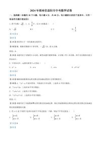 2024年湖南省益阳市中考数学模拟试卷（解析版）