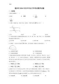 2024年湖北省随州市中考数学模拟试卷（原卷版）