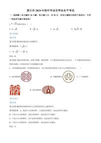 2024年湖北省黄石市中考数学模拟试卷（解析版）