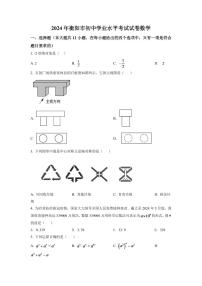 2024年湖南省衡阳市中考数学模拟试卷（原卷版）