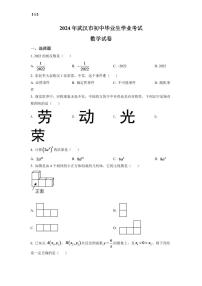 2024年湖北省武汉市中考数学模拟试卷（原卷版）