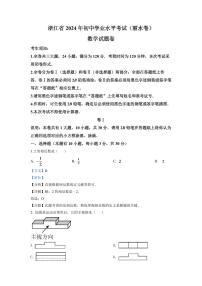 2024年浙江省丽水市中考数学模拟试卷（解析版）