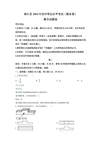 2024年浙江省丽水市中考数学模拟试卷（解析版）