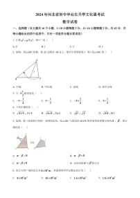 2024年河北省中考数学模拟试卷 （原卷版）