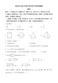 2024年广西梧州市中考数学模拟试卷（原卷版）