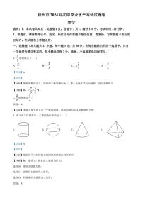 2024年广西梧州市中考数学模拟试卷（解析版）