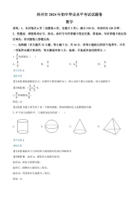 2024年广西梧州市中考数学模拟试卷（解析版）