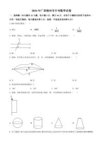 2024年广西柳州市中考数学模拟试卷（原卷版）