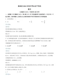 2024年海南省中考数学模拟试卷（解析版）