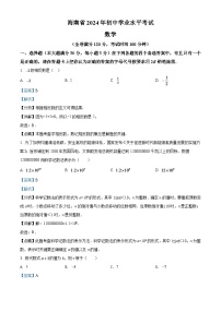 2024年海南省中考数学模拟试卷（解析版）