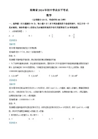 2024年海南省中考数学模拟试卷（解析版）