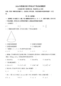 2024年广西贵港市中考数学模拟试卷（原卷版）
