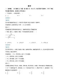 2024年广西贺州市中考数学模拟试卷（解析版）