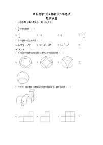 2024年黑龙江省哈尔滨市中考数学模拟试卷（原卷版）