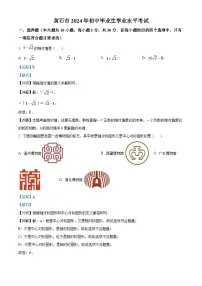 2024年湖北省黄石市中考数学模拟试卷（解析版）