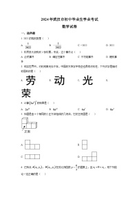 2024年湖北省武汉市中考数学模拟试卷（原卷版）