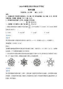 2024年山东省青岛市中考数学模拟试卷（解析版）