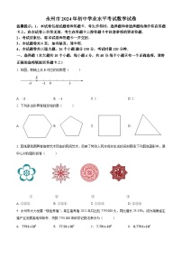 2024年湖南省永州市中考数学模拟试卷（原卷版）