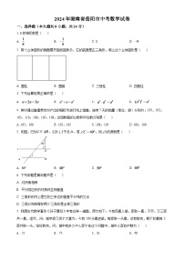 2024年湖南省岳阳市中考数学模拟试卷（原卷版）