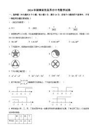 2024年湖南省张家界市中考数学模拟试卷（原卷版）