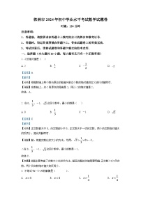 2024年湖南省株洲市中考数学模拟试卷（解析版）