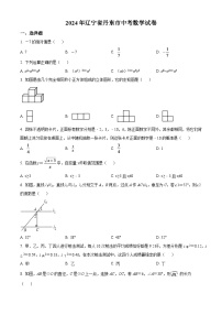 2024年辽宁省丹东市中考数学模拟试卷（原卷版）